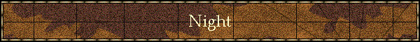 Night